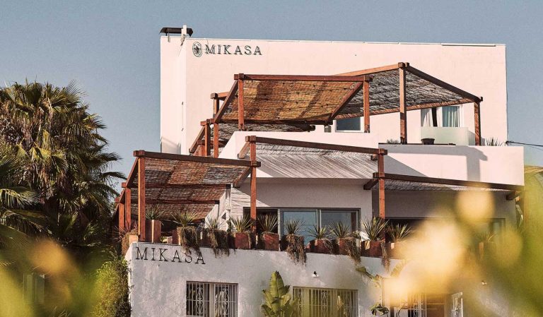 Mikasa Ibiza